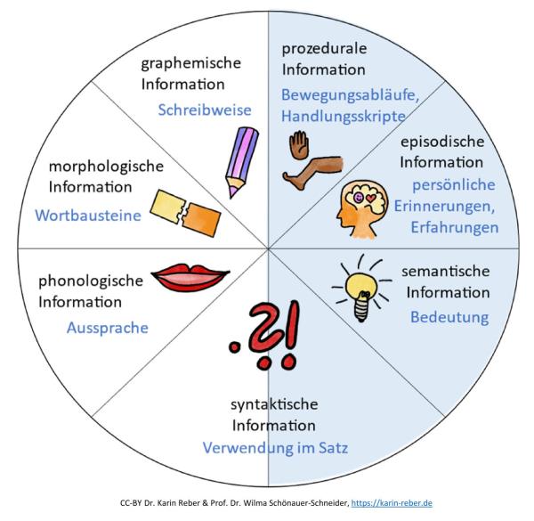Modell des mentalen Lexikons